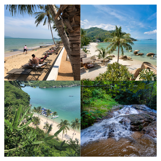 KO SAMUI Un paradis thaïlandais pour tous